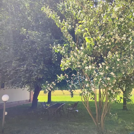 Corte Sant'antonio Apartmán Ferrara